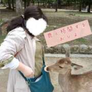 ヒメ日記 2025/05/11 19:20 投稿 ひより 即アポ奥さん〜名古屋店〜