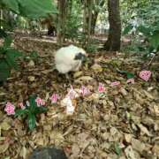 ヒメ日記 2025/06/01 13:51 投稿 ひより 即アポ奥さん〜名古屋店〜