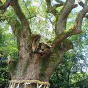 ヒメ日記 2025/06/03 09:41 投稿 ひより 即アポ奥さん〜名古屋店〜