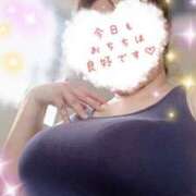 ヒメ日記 2025/06/25 09:31 投稿 ひより 即アポ奥さん〜名古屋店〜