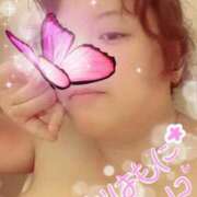 ヒメ日記 2025/07/06 08:51 投稿 ひより 即アポ奥さん〜名古屋店〜