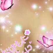 ヒメ日記 2025/07/12 08:41 投稿 ひより 即アポ奥さん〜名古屋店〜