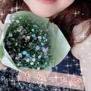 ヒメ日記 2025/07/30 09:02 投稿 ひより 即アポ奥さん〜名古屋店〜