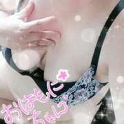 ヒメ日記 2025/08/07 09:02 投稿 ひより 即アポ奥さん〜名古屋店〜