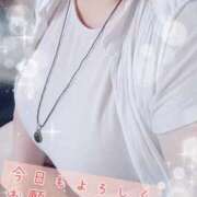 ヒメ日記 2025/09/06 18:09 投稿 ひより 即アポ奥さん〜名古屋店〜