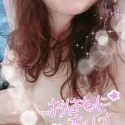 ヒメ日記 2025/09/19 08:14 投稿 ひより 即アポ奥さん〜名古屋店〜