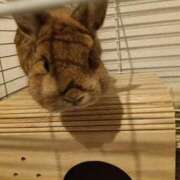 ヒメ日記 2025/10/08 19:11 投稿 ひより 即アポ奥さん〜名古屋店〜