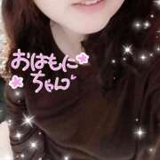 ヒメ日記 2025/11/15 09:25 投稿 ひより 即アポ奥さん〜名古屋店〜