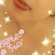 ヒメ日記 2025/11/19 10:02 投稿 ひより 即アポ奥さん〜名古屋店〜