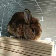 ヒメ日記 2025/11/20 15:21 投稿 ひより 即アポ奥さん〜名古屋店〜