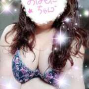 ヒメ日記 2025/11/30 09:01 投稿 ひより 即アポ奥さん〜名古屋店〜