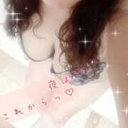 ヒメ日記 2025/12/11 19:21 投稿 ひより 即アポ奥さん〜名古屋店〜