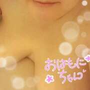 ヒメ日記 2025/12/13 06:51 投稿 ひより 即アポ奥さん〜名古屋店〜