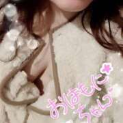 ヒメ日記 2026/01/30 07:23 投稿 ひより 即アポ奥さん〜名古屋店〜