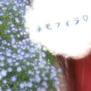 ヒメ日記 2026/04/14 15:24 投稿 ひより 即アポ奥さん〜名古屋店〜