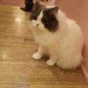 ヒメ日記 2026/05/03 19:01 投稿 ひより 即アポ奥さん〜名古屋店〜