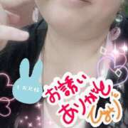 ヒメ日記 2026/06/08 17:01 投稿 ひより 即アポ奥さん〜名古屋店〜