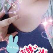 ヒメ日記 2026/07/25 20:00 投稿 ひより 即アポ奥さん〜名古屋店〜