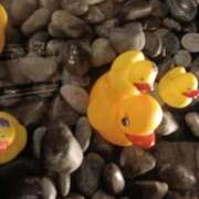 ヒメ日記 2026/09/12 21:01 投稿 ひより 即アポ奥さん〜名古屋店〜