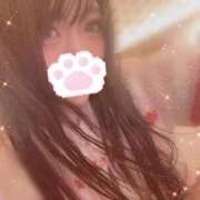 ヒメ日記 2024/12/18 17:31 投稿 よつば姫 I know すい～つ 生クリームpie