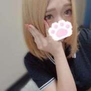 ヒメ日記 2025/05/30 15:21 投稿 よつば姫 I know すい～つ 生クリームpie