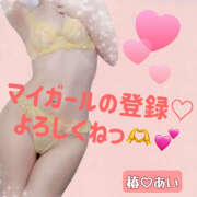 ヒメ日記 2025/05/12 09:51 投稿 橘 しおん(体験) ユニティ神戸西・明石 人妻熟女