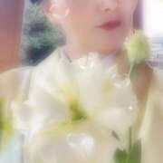 ヒメ日記 2025/02/01 09:54 投稿 福永べに シャトーペトラ