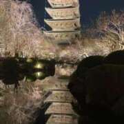 ヒメ日記 2025/03/22 23:39 投稿 福永べに シャトーペトラ