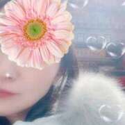 ヒメ日記 2025/11/24 12:28 投稿 福永べに シャトーペトラ