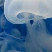 ヒメ日記 2025/03/07 19:10 投稿 なの ラッシュアワー