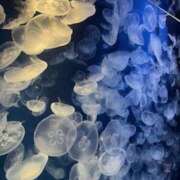 ヒメ日記 2025/06/27 13:13 投稿 なの ラッシュアワー