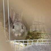 ヒメ日記 2025/09/12 18:42 投稿 なの ラッシュアワー