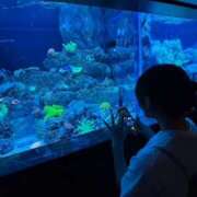 ヒメ日記 2025/09/14 11:06 投稿 なの ラッシュアワー