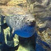 ヒメ日記 2025/09/15 10:40 投稿 なの ラッシュアワー