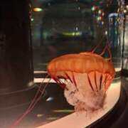 ヒメ日記 2025/09/22 08:07 投稿 なの ラッシュアワー