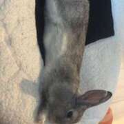 ヒメ日記 2025/10/21 07:45 投稿 なの ラッシュアワー