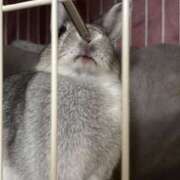 ヒメ日記 2025/10/28 13:52 投稿 なの ラッシュアワー