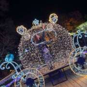 ヒメ日記 2025/12/22 12:19 投稿 なの ラッシュアワー