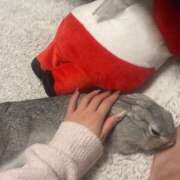 ヒメ日記 2026/01/02 13:10 投稿 なの ラッシュアワー