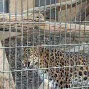 ヒメ日記 2026/01/27 12:52 投稿 なの ラッシュアワー