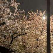 ヒメ日記 2026/04/05 17:34 投稿 なの ラッシュアワー