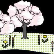 ヒメ日記 2025/04/07 11:56 投稿 つばさ プールサイド新橋店