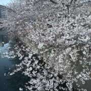 ヒメ日記 2025/04/06 11:03 投稿 ひまわり 熟女の風俗最終章 宇都宮店