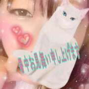 ヒメ日記 2025/08/05 11:00 投稿 ましろ 新宿・新大久保おかあさん