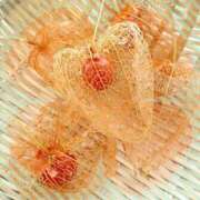 ましろ 透かしほおづき 新宿・新大久保おかあさん