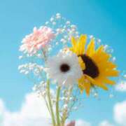 ヒメ日記 2024/12/27 22:13 投稿 濱名 美希 こあくまな熟女たち 上野・御徒町店 (KOAKUMAグループ)