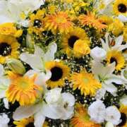 ヒメ日記 2025/05/09 17:43 投稿 濱名 美希 こあくまな熟女たち 上野・御徒町店 (KOAKUMAグループ)