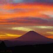 ヒメ日記 2025/07/12 21:00 投稿 濱名 美希 こあくまな熟女たち 上野・御徒町店 (KOAKUMAグループ)