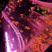 ヒメ日記 2025/03/30 19:26 投稿 濱名 美希 こあくまな熟女たち 鶯谷・日暮里店(KOAKUMAグループ)