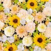 ヒメ日記 2025/04/11 02:55 投稿 濱名 美希 こあくまな熟女たち 鶯谷・日暮里店(KOAKUMAグループ)